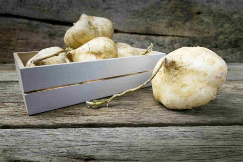 Manfaat Bengkoang untuk Kulit: