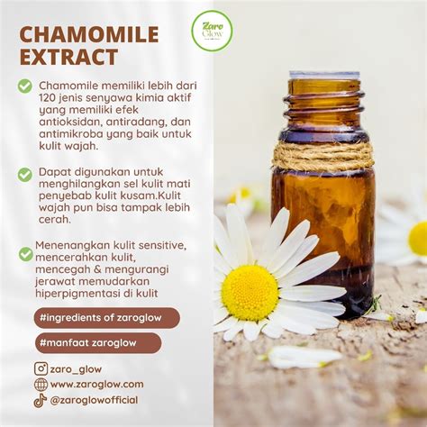 Manfaat Chamomile untuk Kulit: